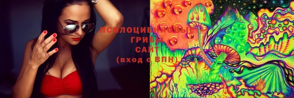 твердый Армянск