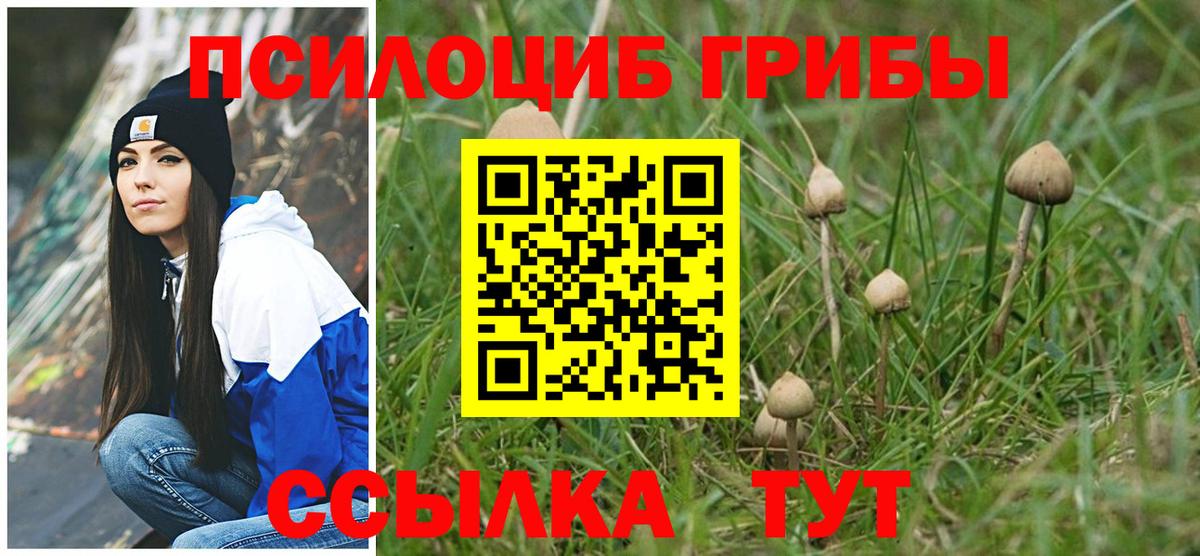 Галлюциногенные грибы ЛСД Усть-Джегута