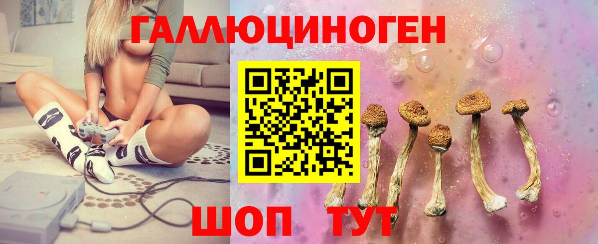 Псилоцибиновые грибы Magic Shrooms  Галлюциногенные грибы мицелий  Вход с VPN  Усть-Джегута 